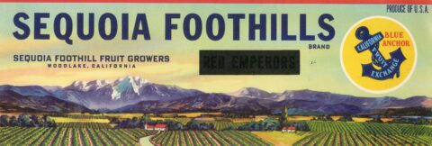 Sequoia Foothills